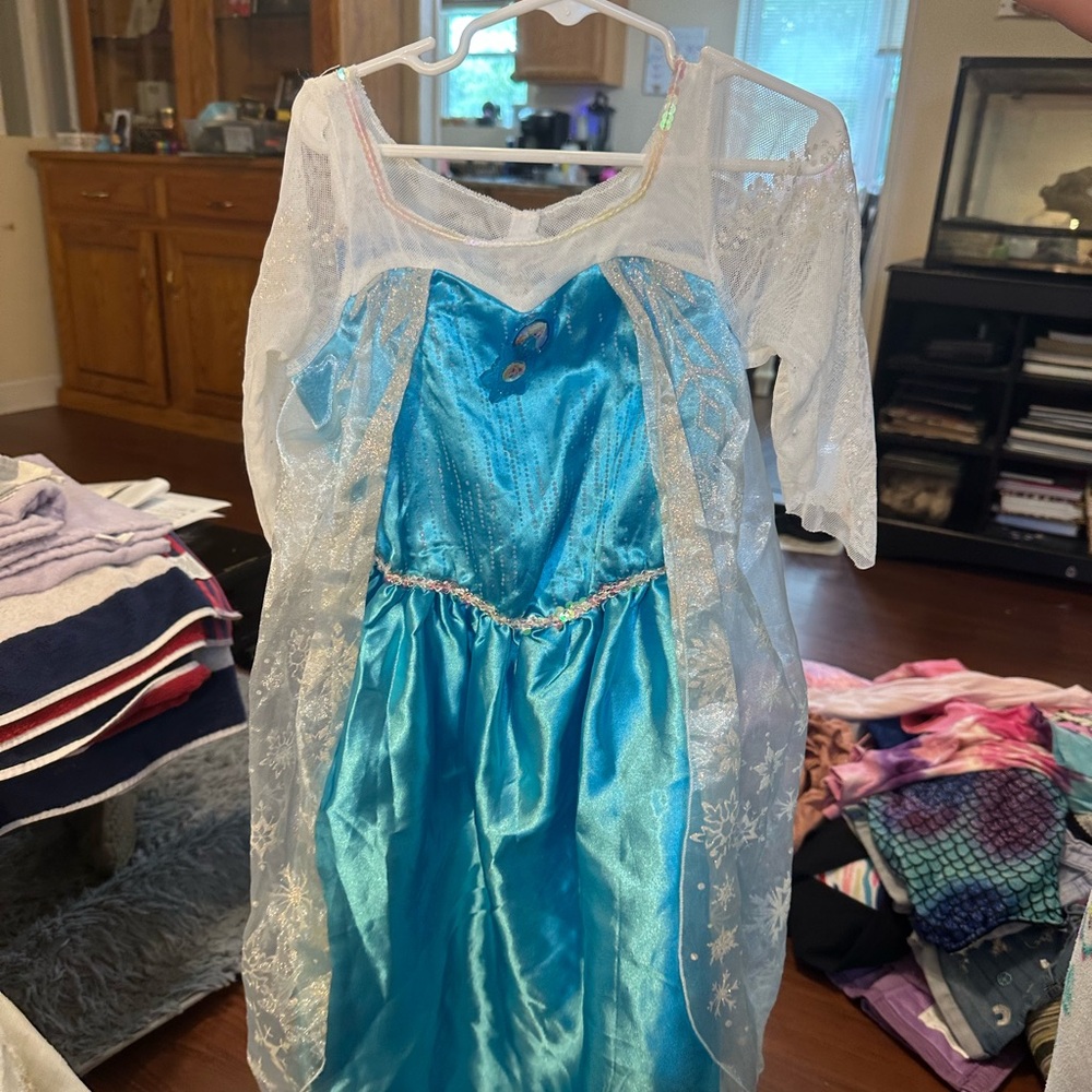 Disney Blue and White Halloween Costume